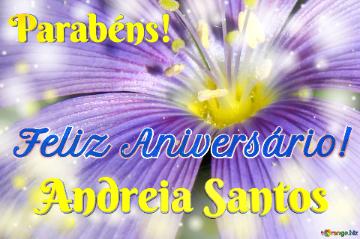 Feliz Aniversário! Parabéns! Andreia Santos 