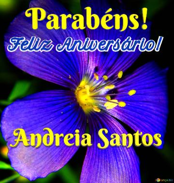 Feliz Aniversário! Parabéns! Andreia Santos 
