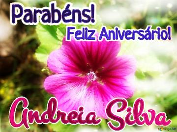 Feliz Aniversário! Parabéns! Andreia Silva 