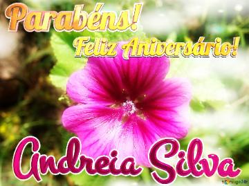Feliz Aniversário! Parabéns! Andreia Silva 