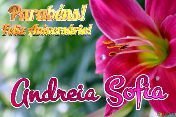 Feliz Aniversário! Parabéns! Andreia Sofia  Jardim Dos Sonhos