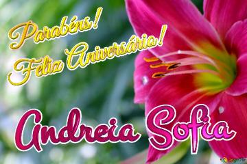 Feliz Aniversário! Parabéns! Andreia Sofia 