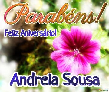 Feliz Aniversário! Parabéns! Andreia Sousa  Flores Da Serenata