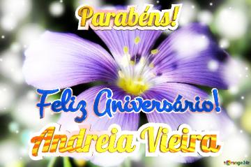 Feliz Aniversário! Parabéns! Andreia Vieira 