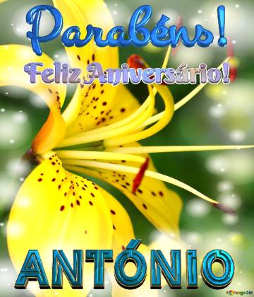 Feliz Aniversário! Parabéns! António 