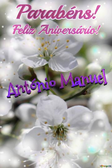 Feliz Aniversário! Parabéns! António Manuel  Flores De Cerejeira