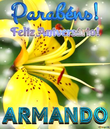 Feliz Aniversário! Parabéns! Armando 