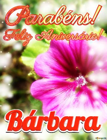 Feliz Aniversário! Parabéns! Bárbara 