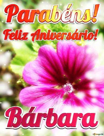 Feliz Aniversário! Parabéns! Bárbara  Jardim Das Borboletas