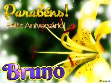 Feliz Aniversário! Parabéns! Bruno  Flores Da Transformação