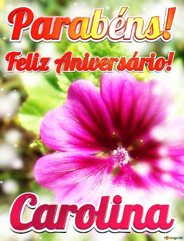Feliz Aniversário! Parabéns! Carolina  Jardim Das Borboletas