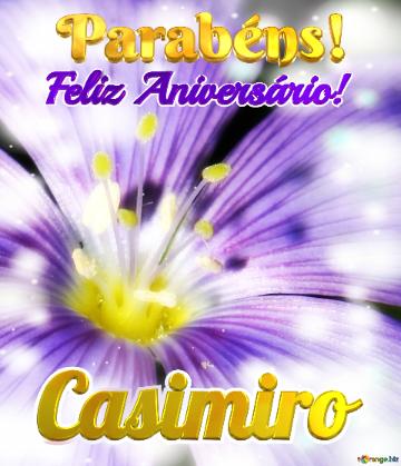 Feliz Aniversário! Parabéns! Casimiro  Natureza Vibrante