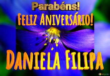 Feliz Aniversário! Parabéns! Daniela Filipa 