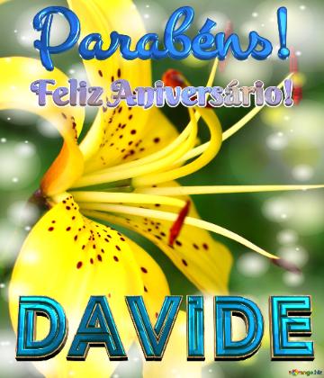 Feliz Aniversário! Parabéns! Davide  Beleza Selvagem