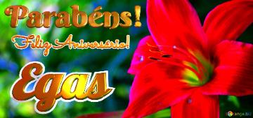 Feliz Aniversário! Parabéns! Egas Jardim Encantado