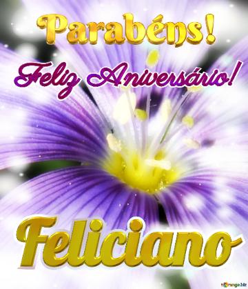 Feliz Aniversário! Parabéns! Feliciano  Oásis Floral