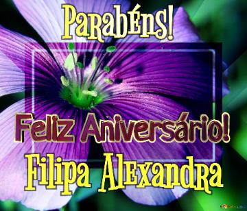 Feliz Aniversário! Parabéns! Filipa Alexandra  Flores Da Alegria
