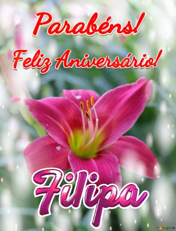 Feliz Aniversário! Parabéns! Filipa  Flores Da Gratidão