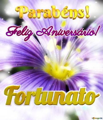 Feliz Aniversário! Parabéns! Fortunato 