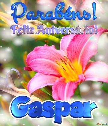 Feliz Aniversário! Parabéns! Gaspar  Jardim Dos Sonhos