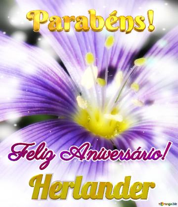 Feliz Aniversário! Parabéns! Herlander 