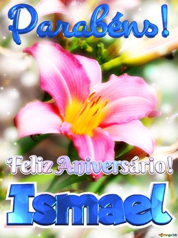 Feliz Aniversário! Parabéns! Ismael  Jardim Da Alegria
