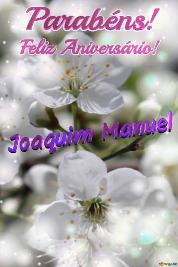 Feliz Aniversário! Parabéns! Joaquim Manuel 