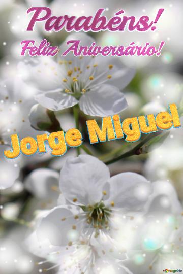 Feliz Aniversário! Parabéns! Jorge Miguel  Flores De Cerejeira