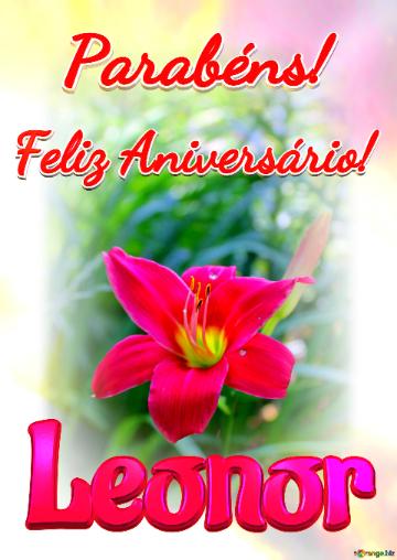 Feliz Aniversário! Parabéns! Leonor  Jardim Das Memórias
