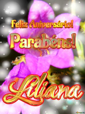 Feliz Aniversário! Parabéns! Liliana  Flores Do Campo