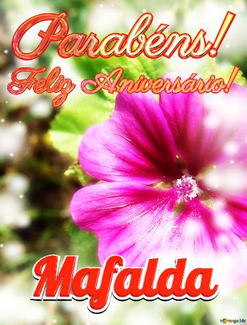Feliz Aniversário! Parabéns! Mafalda  Flores Do Despertar