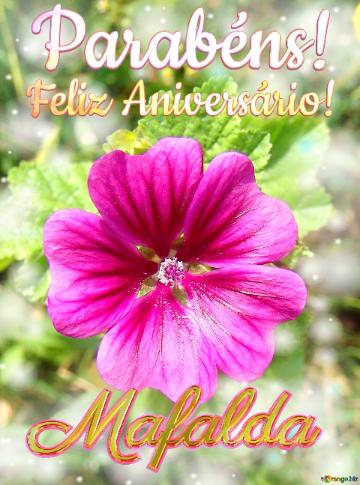 Feliz Aniversário! Parabéns! Mafalda  Jardim Da Paz