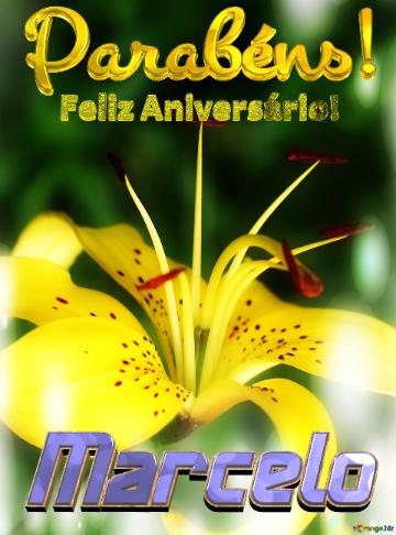 Feliz Aniversário! Parabéns! Marcelo  Flores Da Liberdade