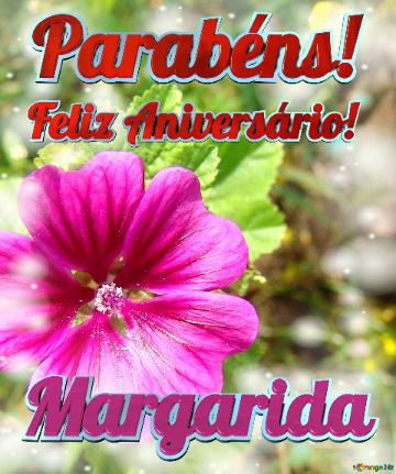 Feliz Aniversário! Parabéns! Margarida  Campo De Flores