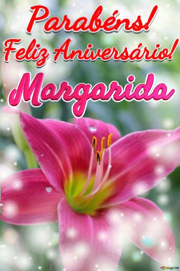 Feliz Aniversário! Parabéns! Margarida  Flor Da Felicidade