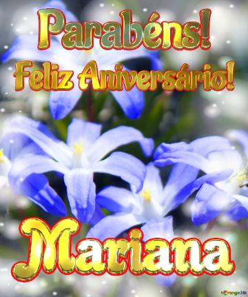 Feliz Aniversário! Parabéns! Mariana 