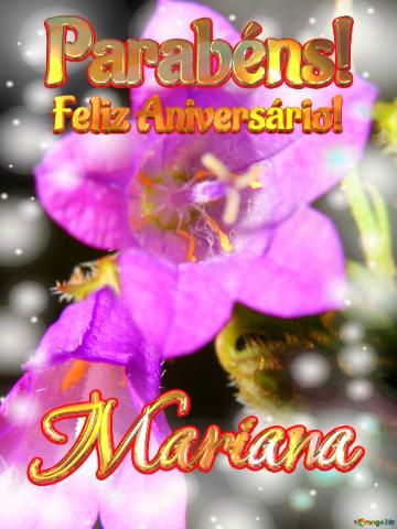 Feliz Aniversário! Parabéns! Mariana  Flores Do Campo