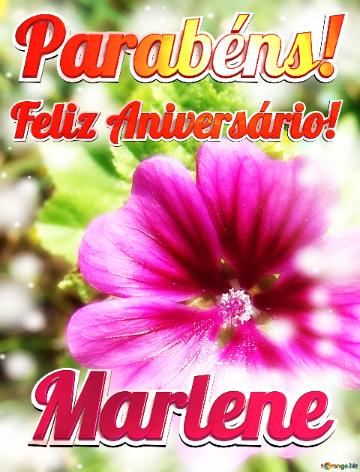 Feliz Aniversário! Parabéns! Marlene  Jardim Das Borboletas