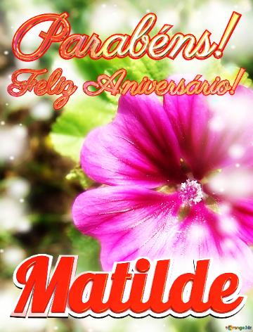 Feliz Aniversário! Parabéns! Matilde  Flores Do Despertar