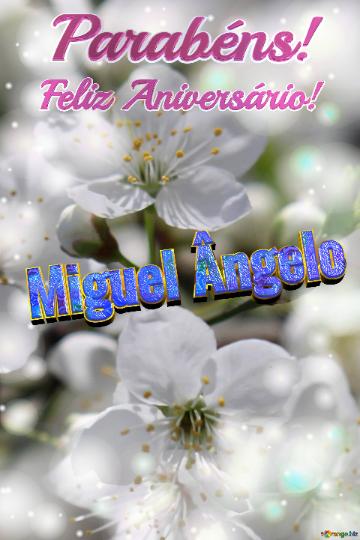 Feliz Aniversário! Parabéns! Miguel Ângelo 