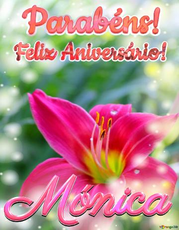 Feliz Aniversário! Parabéns! Mónica  Jardim Da Gratidão