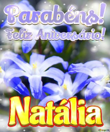 Feliz Aniversário! Parabéns! Natália 