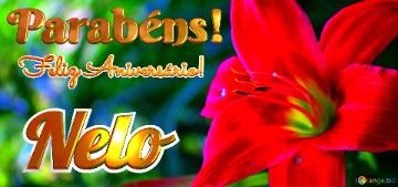 Feliz Aniversário! Parabéns! Nelo Jardim Encantado
