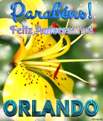 Feliz Aniversário! Parabéns! Orlando 