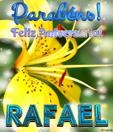 Feliz Aniversário! Parabéns! Rafael  Beleza Selvagem