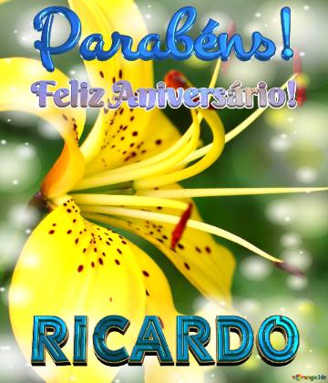 Feliz Aniversário! Parabéns! Ricardo  Beleza Selvagem