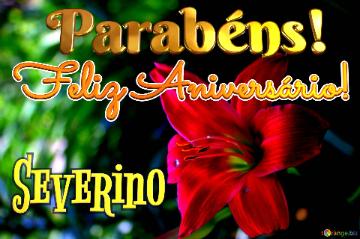 Feliz Aniversário! Parabéns! Severino  Flores Da Amizade