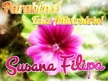 Feliz Aniversário! Parabéns! Susana Filipa  Flor Da Tranquilidade