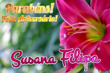 Feliz Aniversário! Parabéns! Susana Filipa  Jardim Dos Sonhos