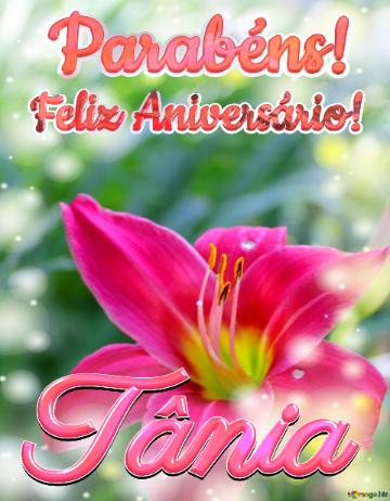 Feliz Aniversário! Parabéns! Tânia 